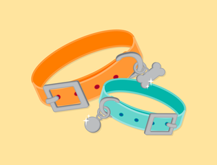 Two pet collars feature.