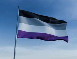 st-asexuality-grey-lgbtq