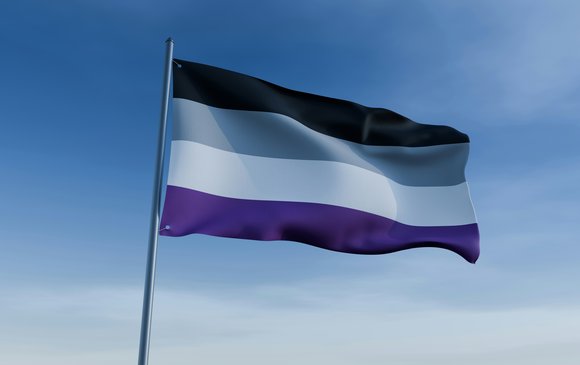 st-asexuality-grey-lgbtq