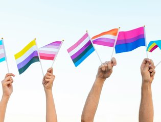 st-what-is-your-sexuality-how-to-explore-lgbtq
